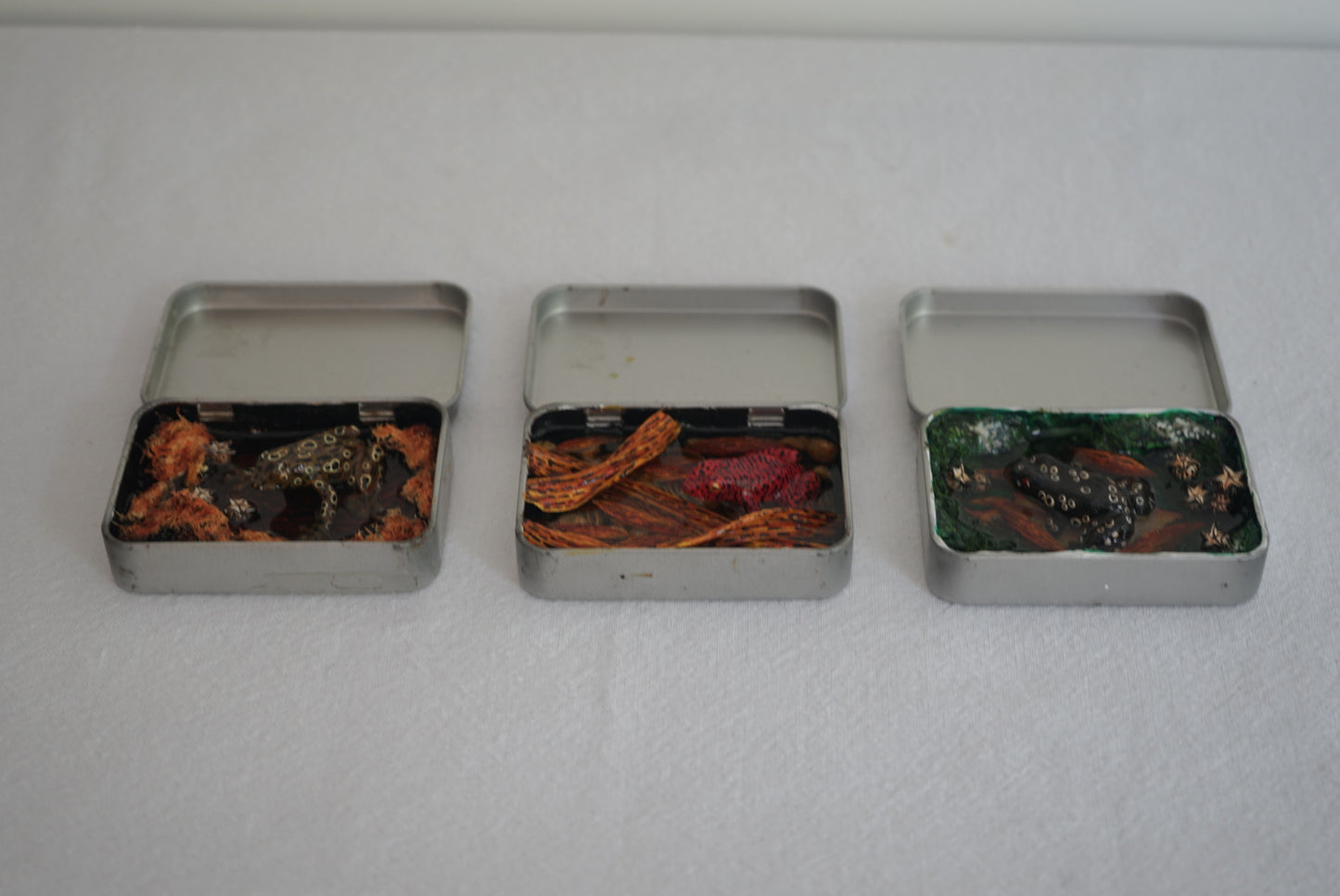 Frog Box