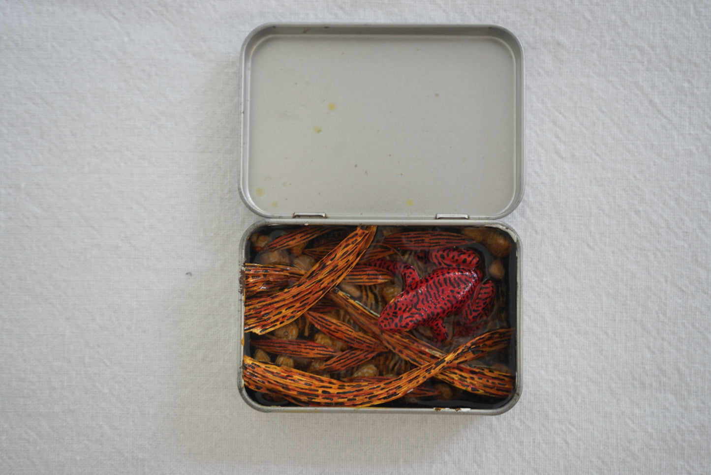 Frog Box