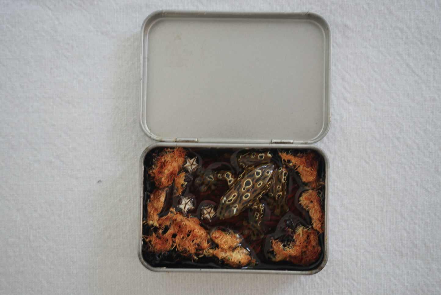 Frog Box
