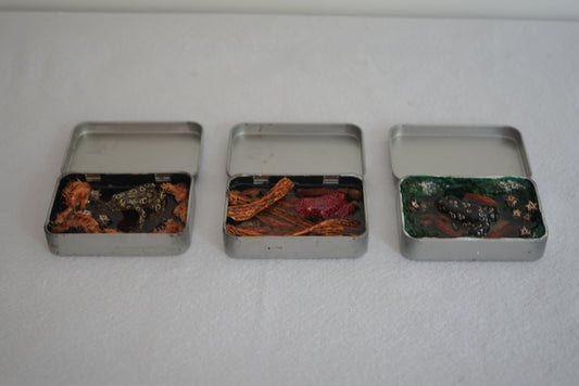 Frog Box