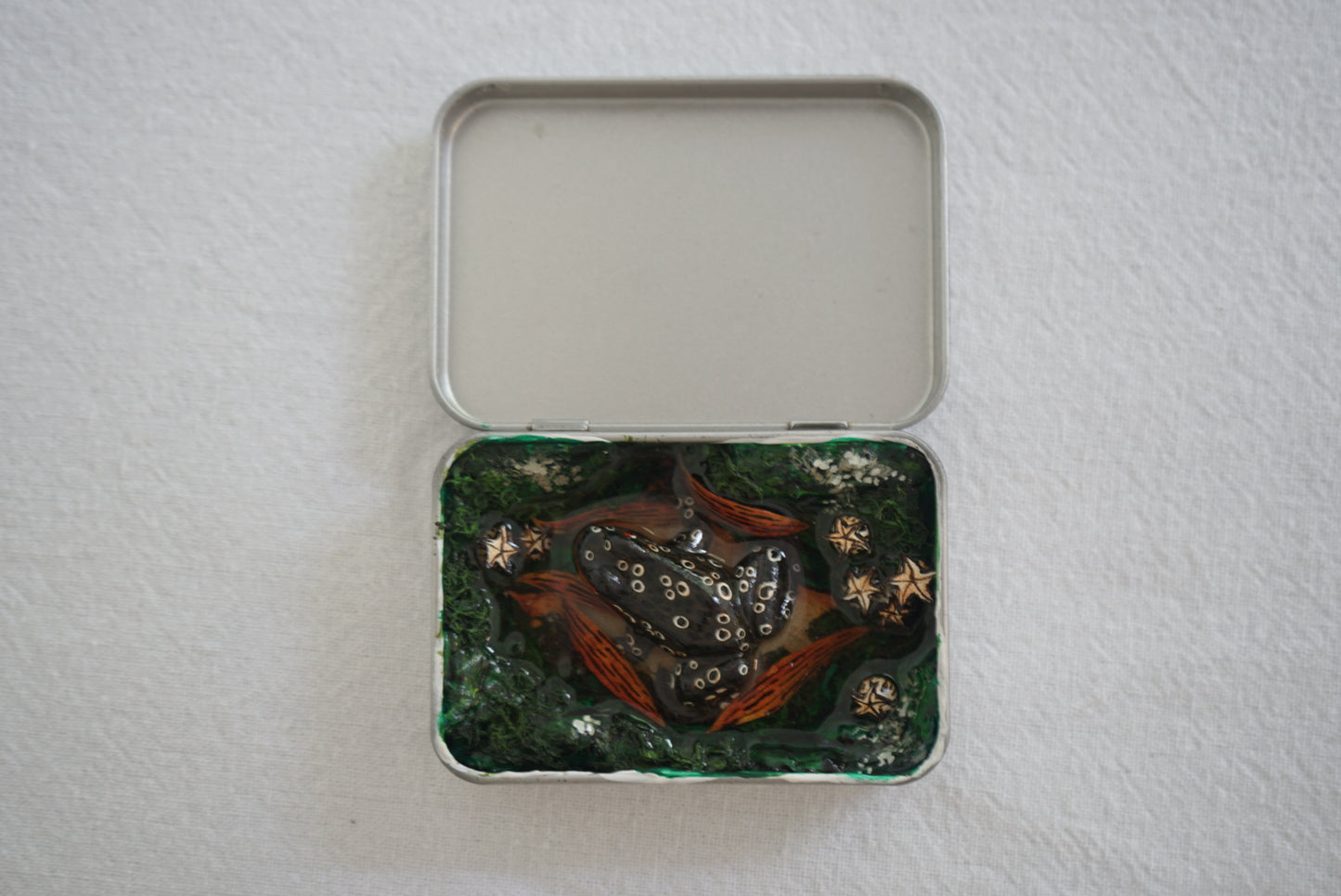 Frog Box