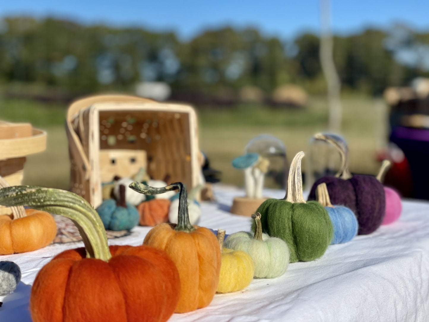 Fall Veggie Felting w/ Rebecca Kusa